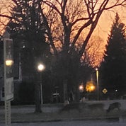 Klanii's Uniques Profile