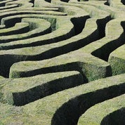 Wildflower Prints Profile