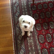 NAMA Collector's Warehouse Profile