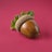 Acorn Avatar
