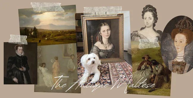 Shop Banner