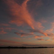 Bluerustique Profile