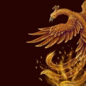 Gotham Phoenix Profile