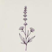 Lavender & Oak Vintage Profile