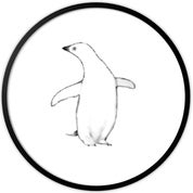 A White Penguin Profile