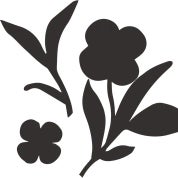 Jess Diab Studio Profile