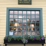 Mary Donnellan Interiors Profile