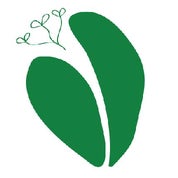 HAVA studios Profile