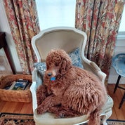 Atelier Elodie Profile