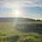 Morning Meadow Gallery Avatar
