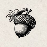 Acorn Profile