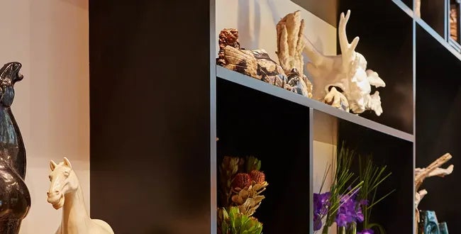 Shop Banner