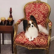 Melissa Hundley - Glasswing Redesign Profile