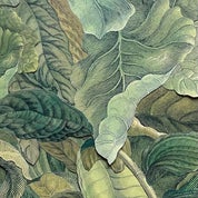 Park Epicurean Profile