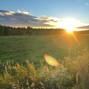 Borealis Heirlooms Profile