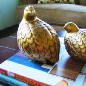 Glamour Goes Green Profile