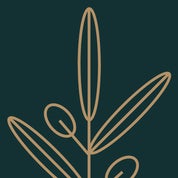 Tuscan Texas Profile