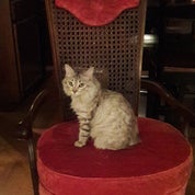 B&V Vintage and Beyond Profile