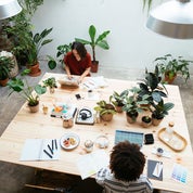 Kiwi Vintage + Kiwi Kids Profile