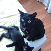 MVSellsStuff Profile