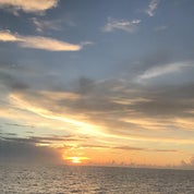 My Lime Green Profile