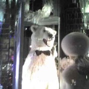 The Antique Flâneur Profile