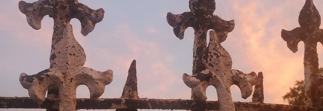Shop Banner