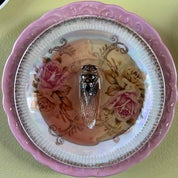 The Gold Room Profile