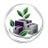 Private Inkbox Avatar