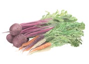 Arielle Frieda Profile