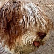 EPIC Antiques Profile