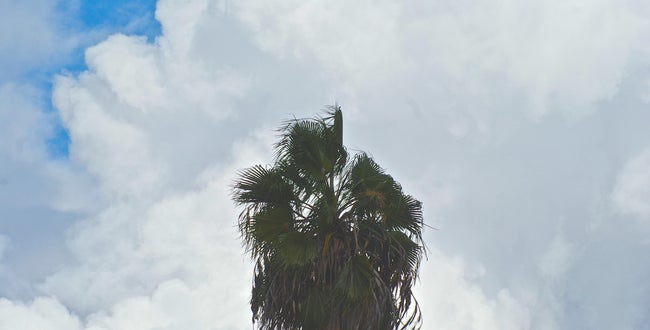 Shop Banner