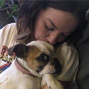 Darcy B. Profile