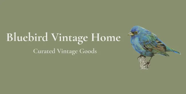 Shop Banner