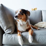 Elite Leather Co. Profile