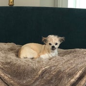 Michelle Nicole Studio Profile