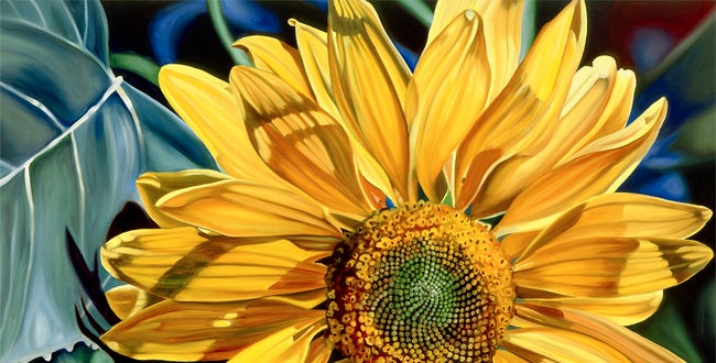 Shop Banner