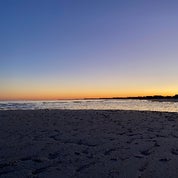 Wild Wonderful Finds Profile