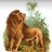 The Paper Lion Avatar