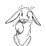 ChiChi Bunny's Vintage Closet Profile