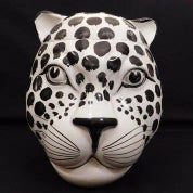 curated CURIOSITIES | G + G Profile