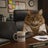 Valley Cat Avatar