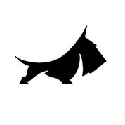 SxD Fine Art Profile