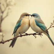 Two Birds Profile