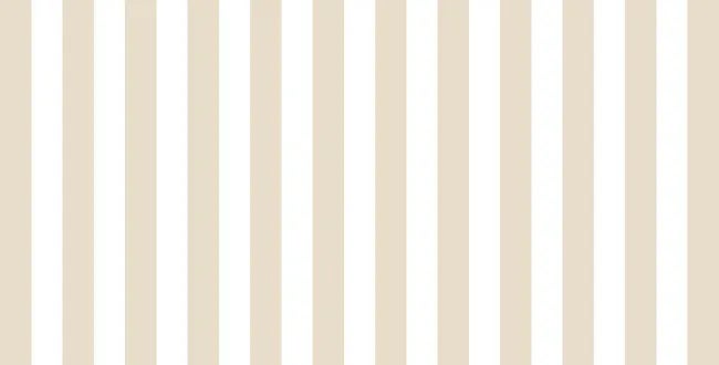 Shop Banner