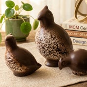 Amy Killingsworth Curated Profile