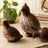 Amy Killingsworth Curated Avatar