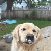 Marcheschi Shop Profile