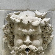 Ancient Surfaces Profile