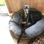 EclecticArtGalleryPlus Profile